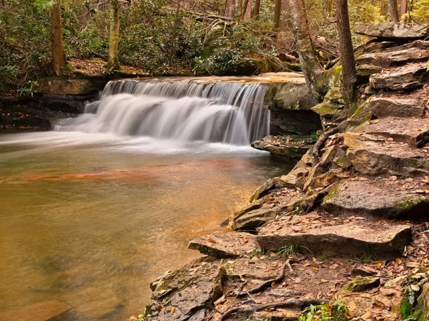 Small waterfall in the woods