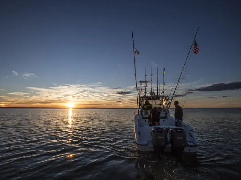 Rcokfish Charters
