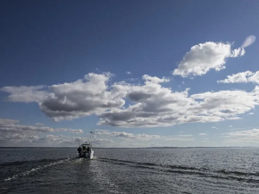 Rcokfish Charters