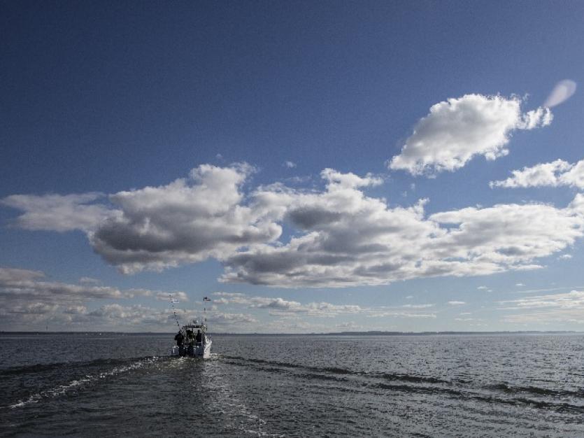 Rcokfish Charters