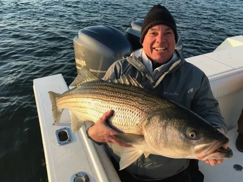 Rockfish Season