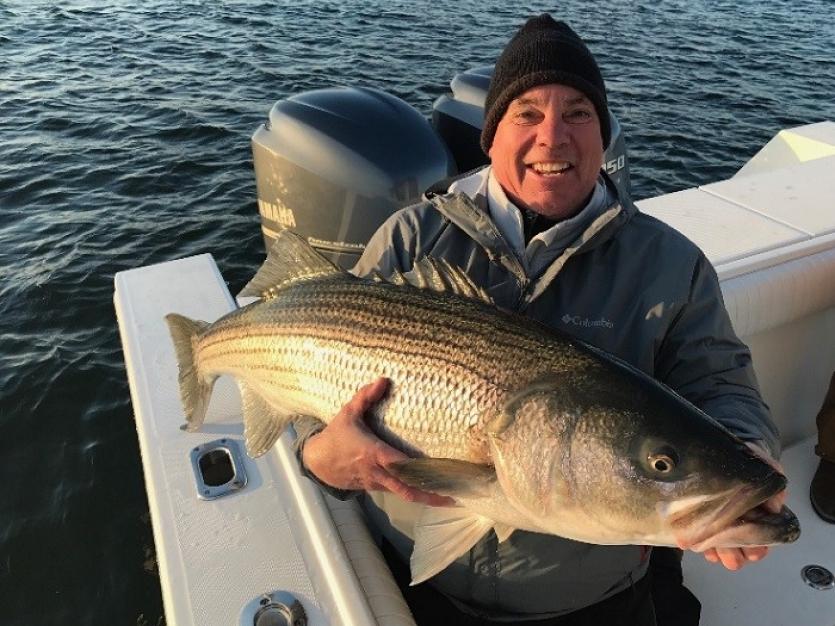 Rockfish Season
