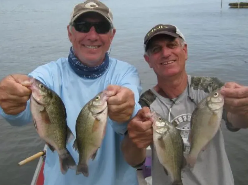 Two fishermen holding white perch