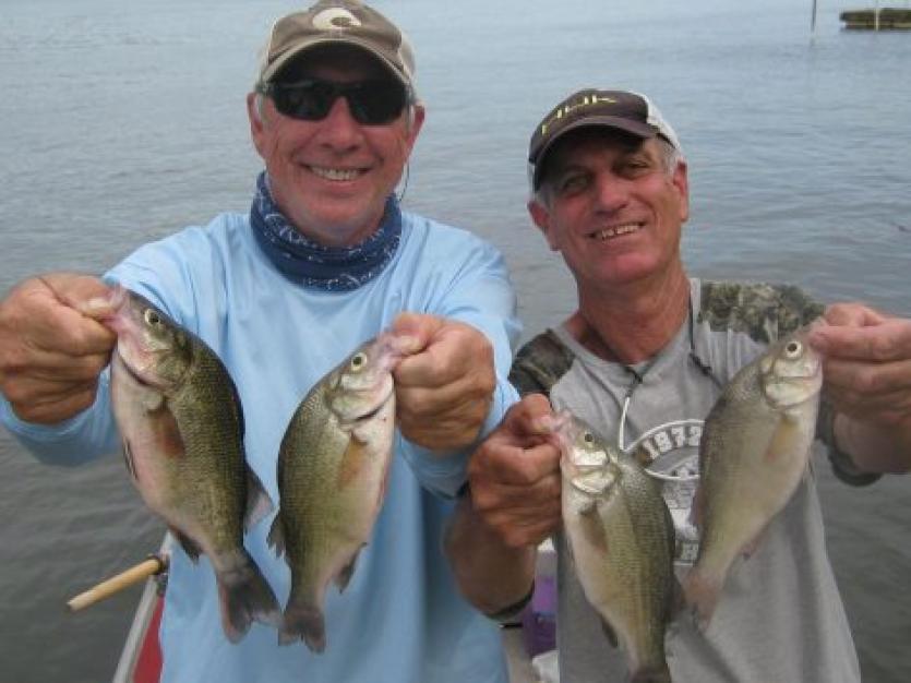 Two fishermen holding white perch
