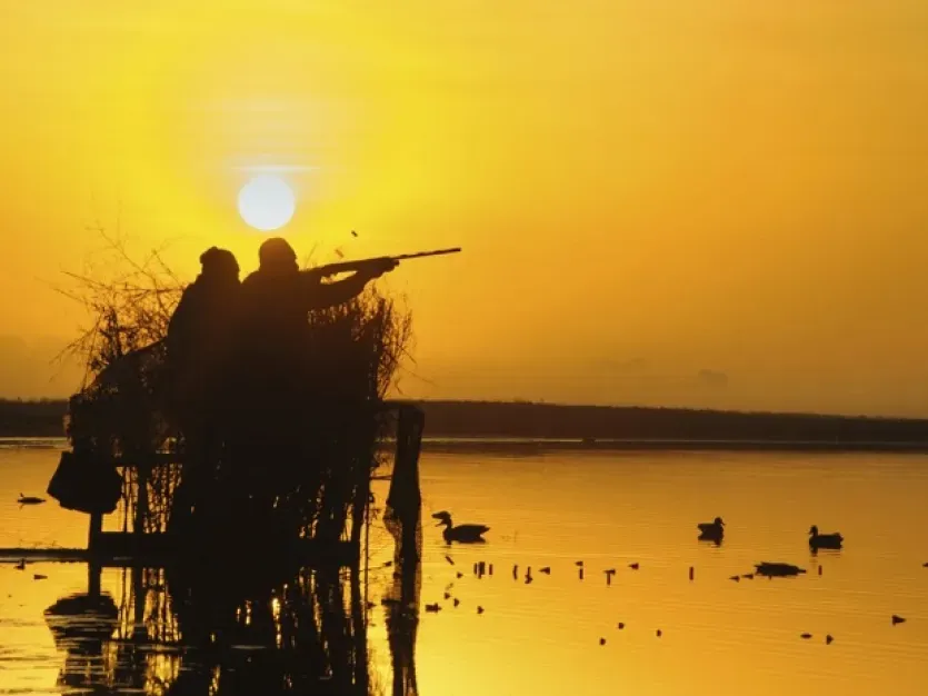 Two ducks hunters during sunset