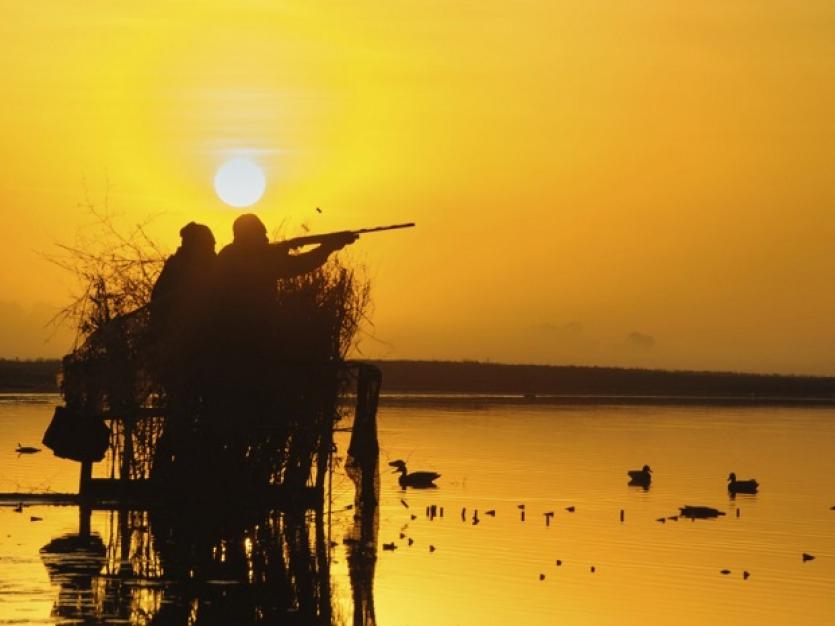 Two ducks hunters during sunset