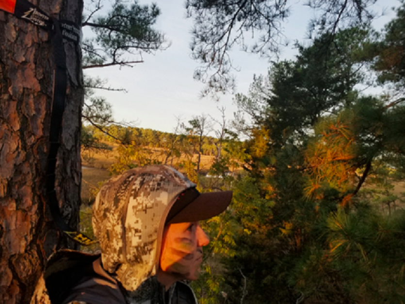 Top Public Lands to Hunt Deer in Central Maryland