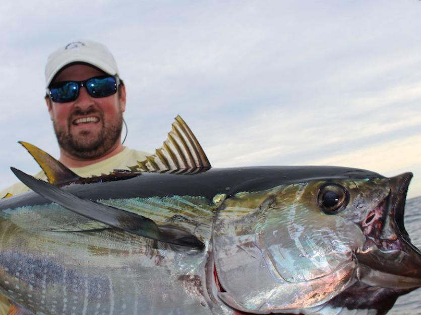 tuna-3.jpg
