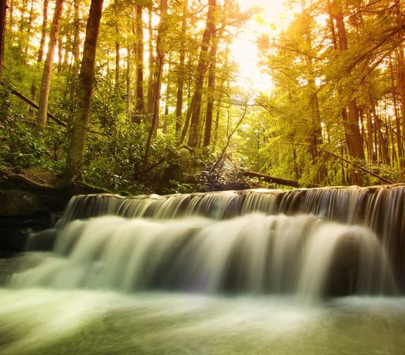 Swallow Falls State Park