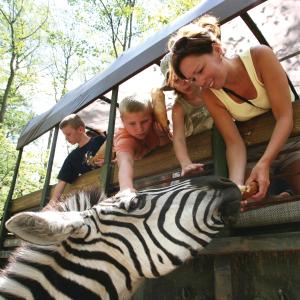 Zoo safari at the Catoctin Wildlife Preserve and Zoo in Thurmont