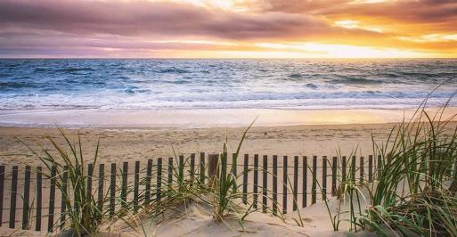 Ocean City Beach and Dunes
