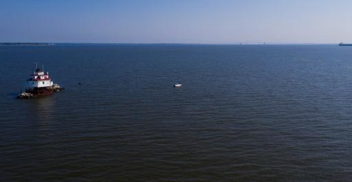 Fishing 101: What Fish Are Biting In Maryland?