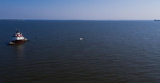 Fishing 101: What Fish Are Biting In Maryland?