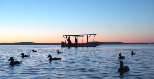 FHMD Body Booting 2.jpg