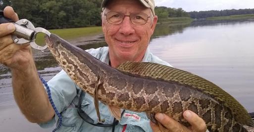 Tim with Snakehead-1.jpg