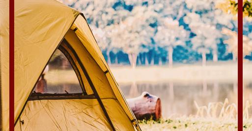 camping and finshing series part II