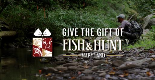 Give the Gift of Fish &amp; Hunt Maryland