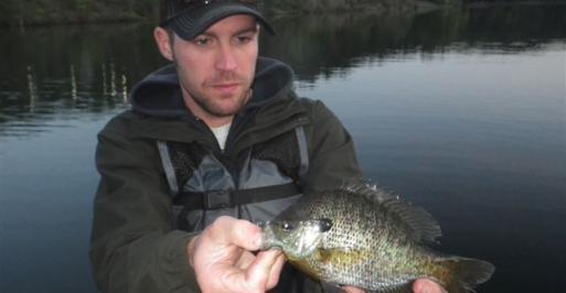 Bluegill Lake Habeeb at Rocky Gap State Park