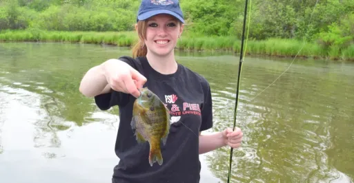 Bluegill caught by Jess