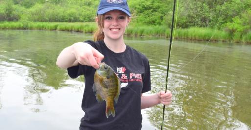 Bluegill caught by Jess