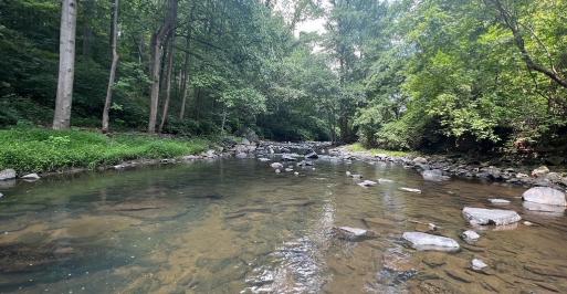 Little Patuxent River