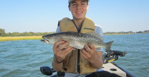 Speckled Trout