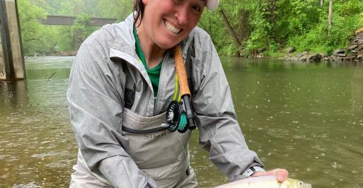 An Octoraro Hickory Shad on a Rainy Afternoon