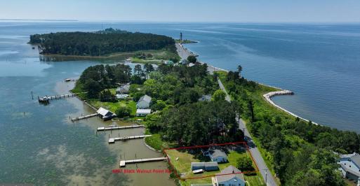 Black Walnut Point Aerial