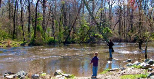 Choptank River at Red-Bridges