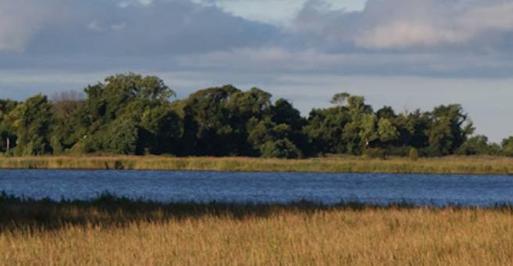 Eastern Neck Wildlife Refuge