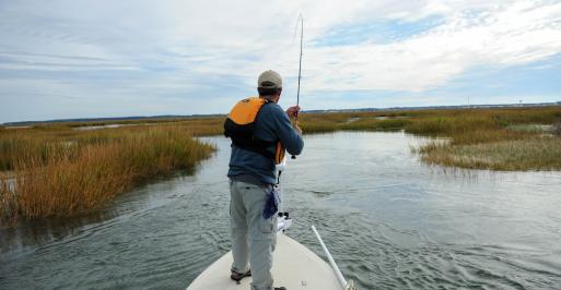 Fighting Another Janes Island State Park Striped Bass