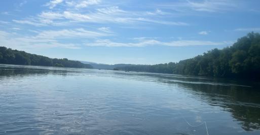 Fly Fishing a Pool on the Potomac River