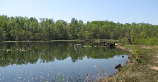 Governor Bridge Natural Area