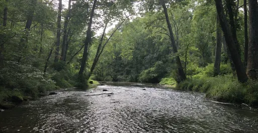 Gunpowder Falls