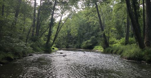Gunpowder Falls