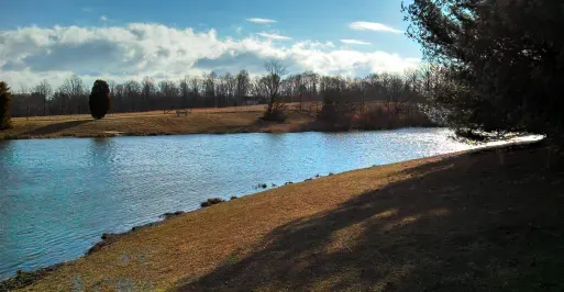 Hutchins Pond