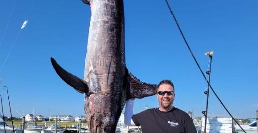 State_record-swordfish