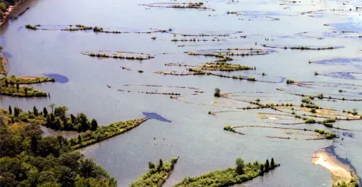 Mallows Bay Aerial Image