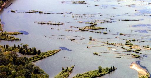 Mallows Bay Aerial Image