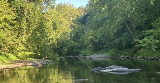 Patapsco River Pools and Rocks 3