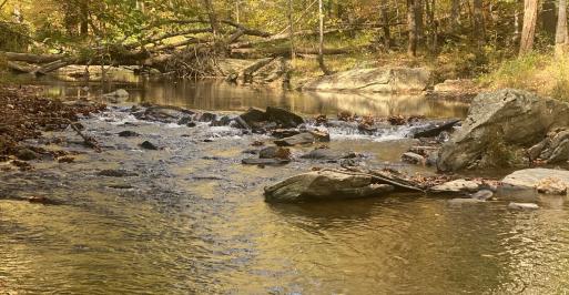 Riffles and Pool on Morgan Run