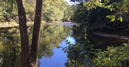 Seneca Creek