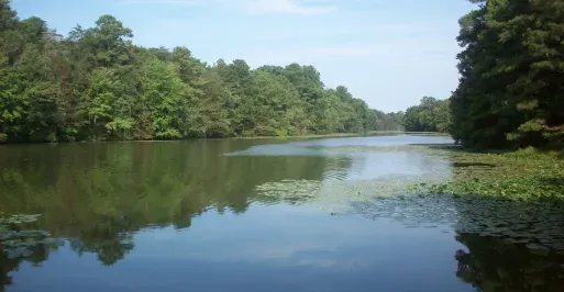 Smithville Lake