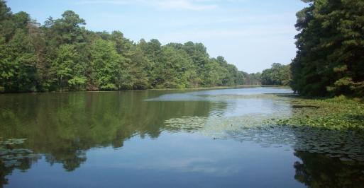 Smithville Lake