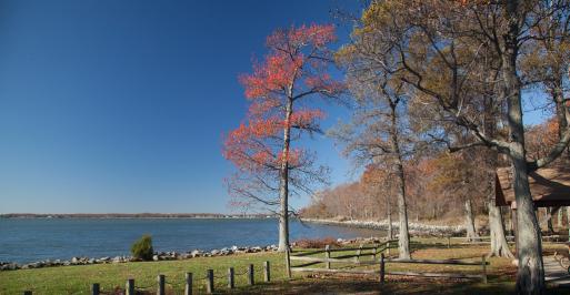 Thomas Point Park