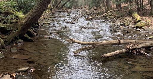 Town Creek Big Run State Park