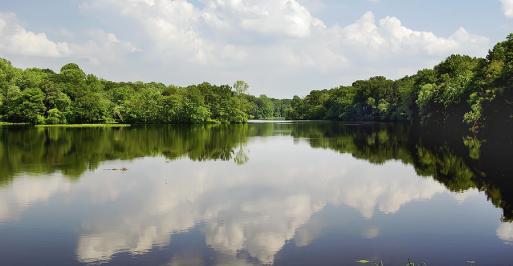 Unicorn Lake-Brian Wallace