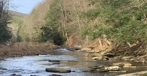 Upper Savage River