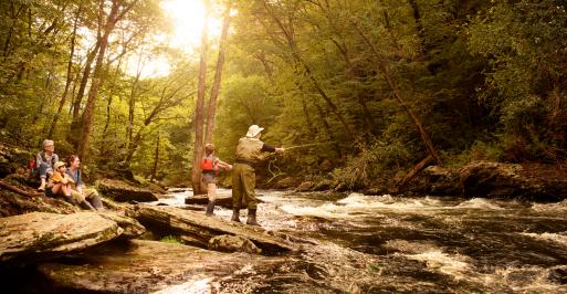 Fly Fishing on the Gunpowder River