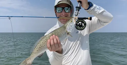 trout